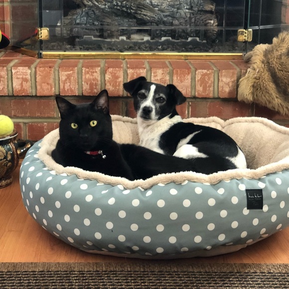 Meet your Posher, Laurie - Picture 10 of 15